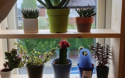 Window Plant Shelf